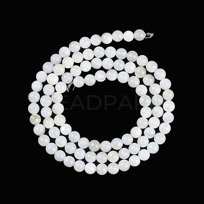 Natural Cultured Freshwater Shell Beads Strands BSHE-H109-03B-1