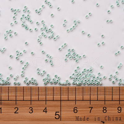 11/0 FGB Grade A Ceylon Glass Seed Beads X-SEED-N001-B-0487-1