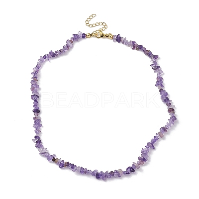Natural Amethyst Chip Beaded Necklace NJEW-JN04616-06-1