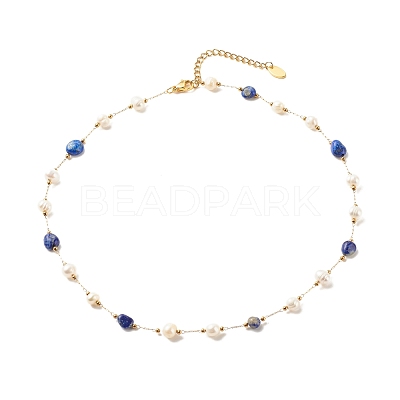 Natural Gemstone & Pearl Beaded Necklace NJEW-JN03894-1