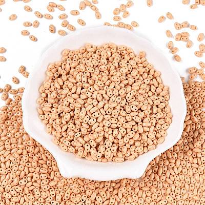 Baking Paint Glass Seed Beads SEED-T006-03E-1