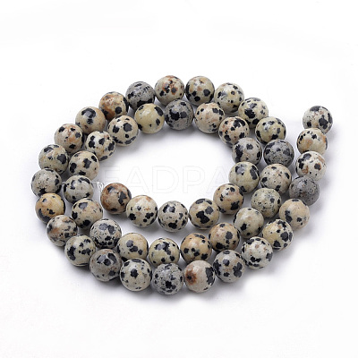 Natural Dalmatian Jasper Beads Strands G-S259-24-10mm-1
