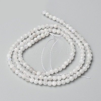 Natural Rainbow Moonstone Beads Strands LS-G-O186-D02-01-1