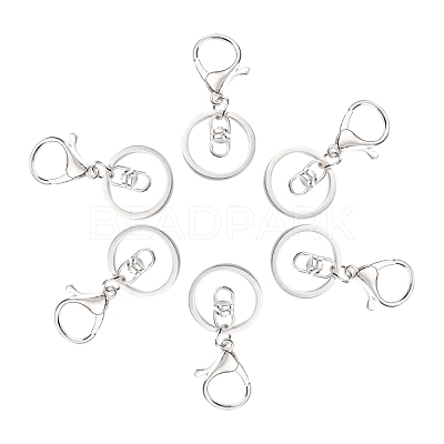 Iron Alloy Lobster Claw Clasp Keychain X-KEYC-D016-S-1