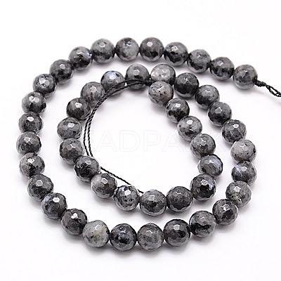 Natural Larvikite Beads Strands G-G736-01-12mm-1
