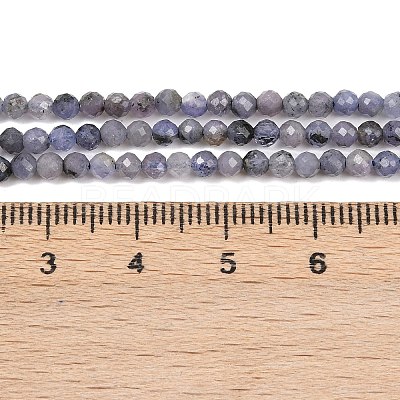 Natural Tanzanite Beads Strands G-C255-A01-3mm-1