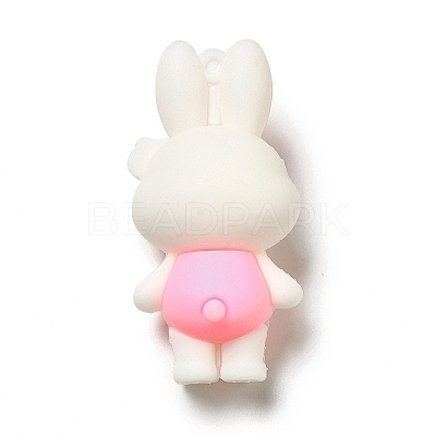 PVC Plastic Big Pendants KY-C011-01A-1