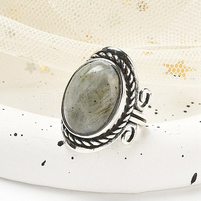 Natural Labradorite Adjustable Rings RJEW-I108-01AS-03-1
