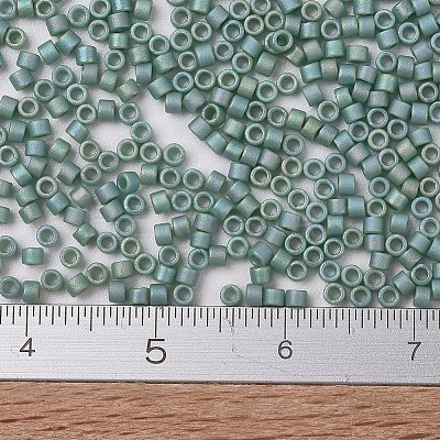 MIYUKI Delica Beads SEED-J020-DB2313-1
