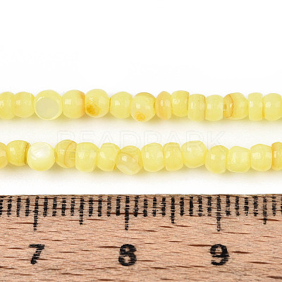Natural Freshwater Shell Dyed Beads Strands SHEL-T020-29B-09-1