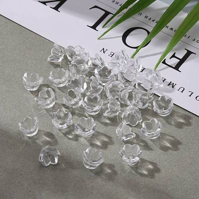 Transparent Clear Acrylic Beads PL548-1-1