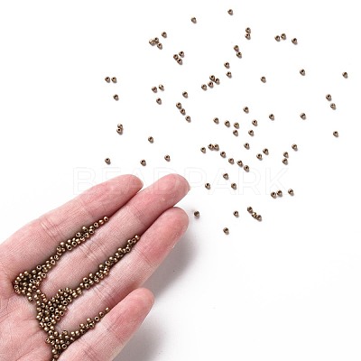 11/0 FGB Grade A Baking Paint Glass Seed Beads X-SEED-N001-A-1037-1