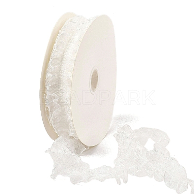 20 Yards Polyester Pleated Elastic Lace Trim SRIB-M015-01C-1