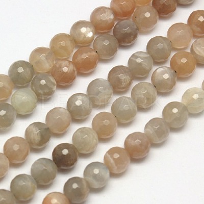 Natural Multi-Moonstone Beads Strands X-G-J157-6mm-10-1