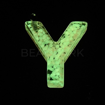 Luminous Resin Pendants RESI-I059-Y01-1