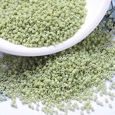 MIYUKI Delica Beads SEED-X0054-DB2123-1