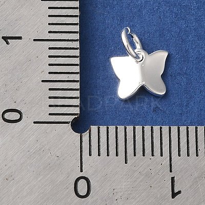 925 Sterling Silver Charms STER-M120-01A-S-1
