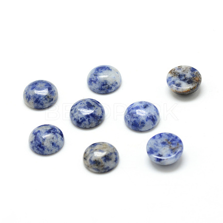 Natural Blue Spot Jasper Cabochons G-T020-18mm-03-1