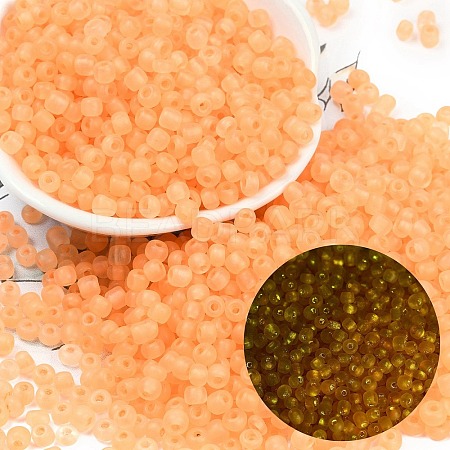 6/0 Luminous Glass Seed Beads X1-SEED-NH0001-01E-1