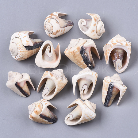 Natural Spiral Shell Beads SSHEL-S258-82-1