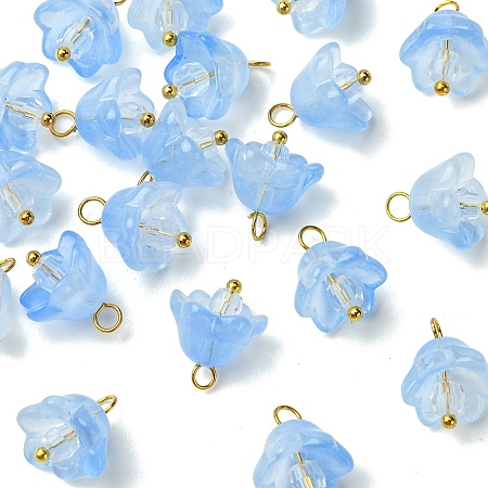 20Pcs Glass & Acrylic Flower Pendants PALLOY-YW00107-01-1