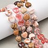 Gradient Color Cherry Quartz Glass & Natural Rose Quartz & Red Netstone & Picture Jasper & Petrified Wood Beads Strands G-B185-A10-2