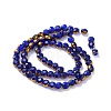 Electroplate Glass Beads Strands LS-EGLA-A040-01G-2