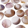 Natural Agate Slices Display Decorations PW-WG0EF27-01-4