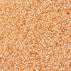 MIYUKI Round Rocailles Beads SEED-JP0010-RRHB274-2