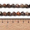 Natural Petrified Wood Beads Strands G-Z119-A21-02-6