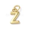 Rack Plating Brass Charms KK-P245-06G-Z-1