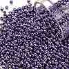 TOHO Round Seed Beads SEED-JPTR11-0567-1