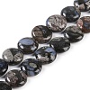 Natural Glaucophane Beads Strands G-C141-E01-03-1