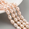 Natural Cultured Freshwater Pearl Beads Strands PEAR-P062-10G-1