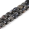 Natural Glaucophane Beads Strands G-C141-F01-01-1