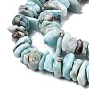 Natural Larimar Beads Strands G-A285-A05-01-4