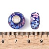 Lampwork & Brass Core European Beads LAMP-P019-01P-13-3