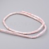 Natural Shell Bead Strands BSHE-P016-02-2