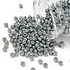TOHO 6/0 Round Beads X-SEED-TR06-PF0565-1