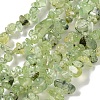 Natural Prehnite Beads Strands G-P332-41A-1