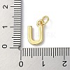 Rack Plating Brass Charms KK-P245-06G-U-3
