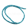 Natural White Shell Dyed Beads Strands BSHE-Z005-03B-2