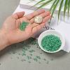 6/0 Glass Seed Beads SEED-A015-4mm-2218-5