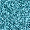 11/0 Grade A Round Glass Seed Beads SEED-N001-A-1016-2
