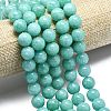 Natural Malaysia Jade Beads Strands G-L645-A01-12mm-19-3