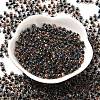 Transparent Glass Round Seed Beads SEED-B001-05A-01-2