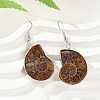Fossil Spiral Dangle Earrings EJEW-P153-01-2