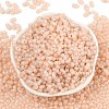 Baking Paint Glass Seed Beads SEED-L011-09A-11-2