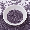 MIYUKI Delica Beads SEED-X0054-DB0695-2