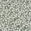 MIYUKI Delica Beads SEED-JP0008-DB1711-2
